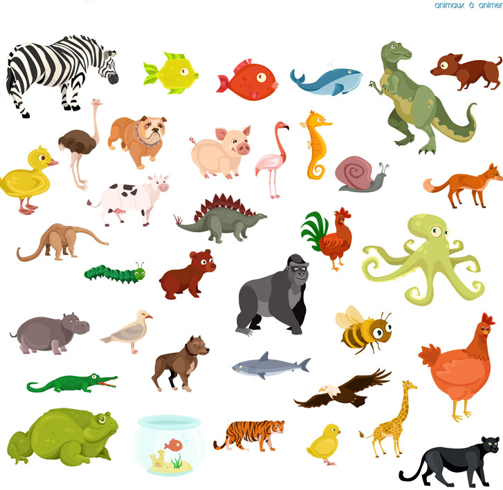 illustrations animaux LaCartoonerie Robabee
